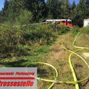 Bei Waldbrand: Feuerwehr findet Leiche
