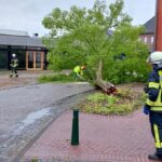 FFW Schwalmtal: Umgestürzter Baum auf Fahrbahn