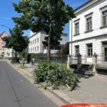 FW Dresden: Sturmlage führt zu mehreren Feuerwehreinsätzen