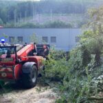 FW-MK: Umgestürzter Baum – Einsatz für den Teleskoplader