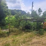 FW Sonsbeck: Drei Einsätze für die Feuerwehr Sonsbeck – Zwei Stromleitungen beschädigt