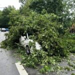 FW Norderstedt: Baum trifft PKW – Unwetter zieht auch an Norderstedt nicht spurlos vorbei