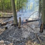 FW-AR: Feuerwehr Ense und Arnsberg bekämpfen Waldbrand