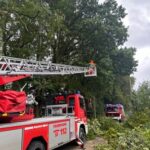 FW-Schermbeck: Baum auf Fahrbahn