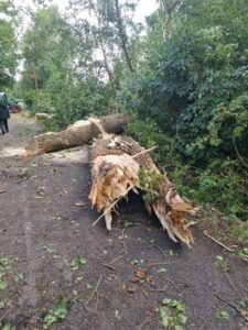 FW-LK Leer: Ein kurzes Gewitter, Sturmböen, eine Windhose und jede Menge Arbeit für die Feuerwehr