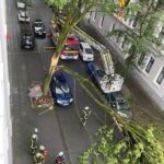 FW-DO: Abgeknickter Baum zerstört drei PKW und einen Motorroller