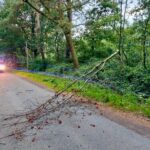 FW Hünxe: Baum auf Telefonleitung