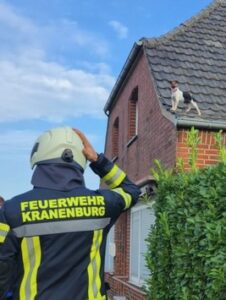 FW Kranenburg: Hund vom Dach gerettet und größeren Wasserschaden verhindert