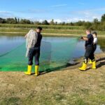 FW Mainz: Feuerwehr rettet verletzten Schwan