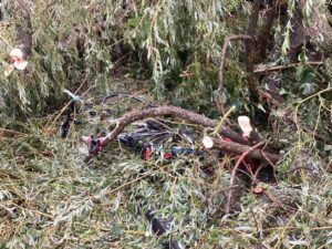 FW-GL: Fahrradfahrer in Bergisch Gladbach bei Gewitter von Baum begraben – durch Schutzengel nur leicht verletzt