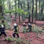 FW-EN: Aufwändiger Rettungseinsatz nach Treckerunfall im Wald