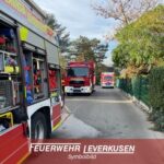 FW-LEV: Brand mit Menschenrettung in Steinbüchel