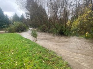 FW-Velbert: Hochwasserereignis in Velbert-Langenberg und-Neviges – Feuerwehr im Dauereinsatz