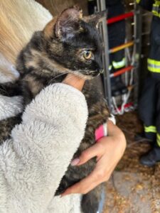 FW-WRN: Freiwillige Feuerwehr Werne wird innerhalb von 24 Stunden zu 7 Einsätzen gerufen