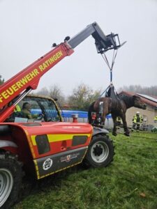 FW Ratingen: Überörtlicher Einsatz nach Erkrath zu einem Großtier in Not