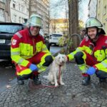 FW-DO: Rauchmelder rettet Hundeleben in Dortmund-Mitte