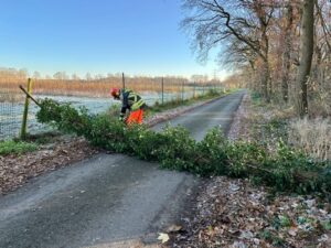 FW Hünxe: Baum blockierte Straße