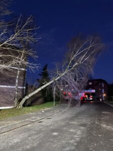 FW Bergheim: Mehrere Sturmeinsätze für die Feuerwehr Bergheim Sieben Einsätze im Stadtgebiet – Bäume auf Fahrzeuge gestürzt