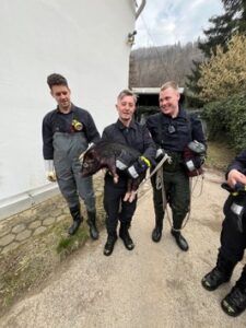 FW Hagen: Tierische Rettung, Schwein aus Notlage befreit