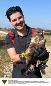 FW-M: Greifvogel hängt fest (Untermenzing)