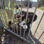 Feuerwehr Goch: Feuerwehr rettet Reh aus misslicher Lage